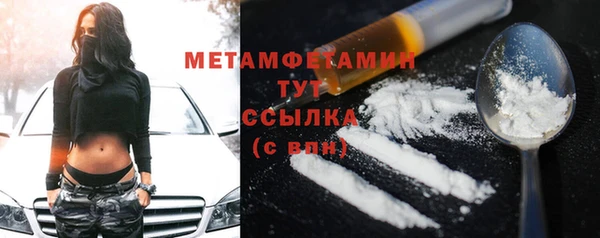 прущие грибы Гусиноозёрск