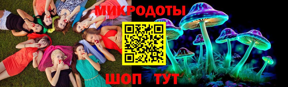 Псилоцибиновые грибы Cubensis Дальнереченск