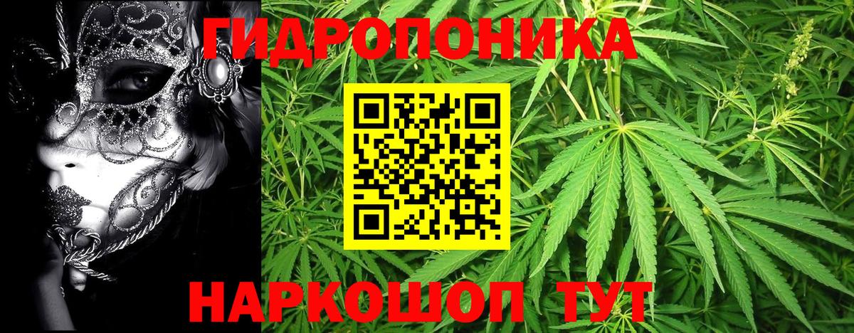 Конопля OG Kush Дальнереченск
